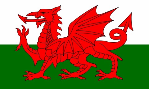 Wales Waver Flag