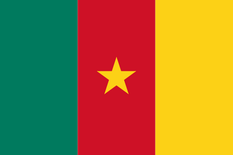 Cameroon Waver Flag