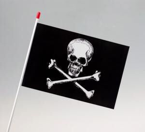  Pirate Skull & Crossbones Waver Flag